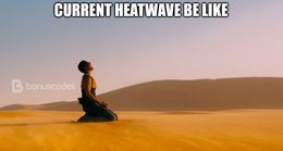 Heatwave memes