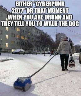 Walk the dog memes