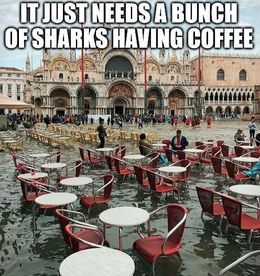 Sharks memes