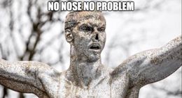 No nose memes