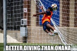 Better diving memes