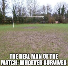 Whoever survives memes