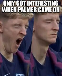 Palmer came on memes