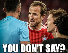 Dont say memes