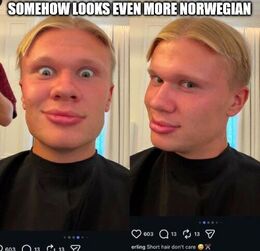 Norwegian memes