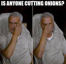 Onions memes