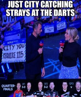 Strays memes