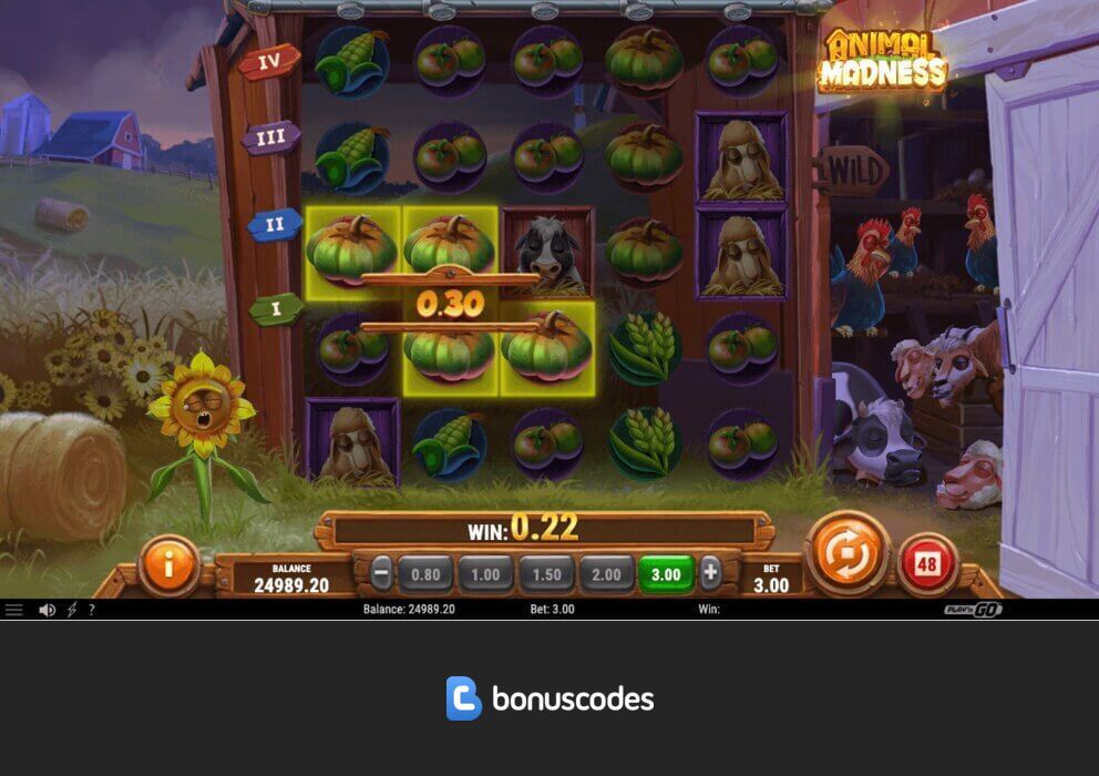 Gratis Guthaben im online Casino