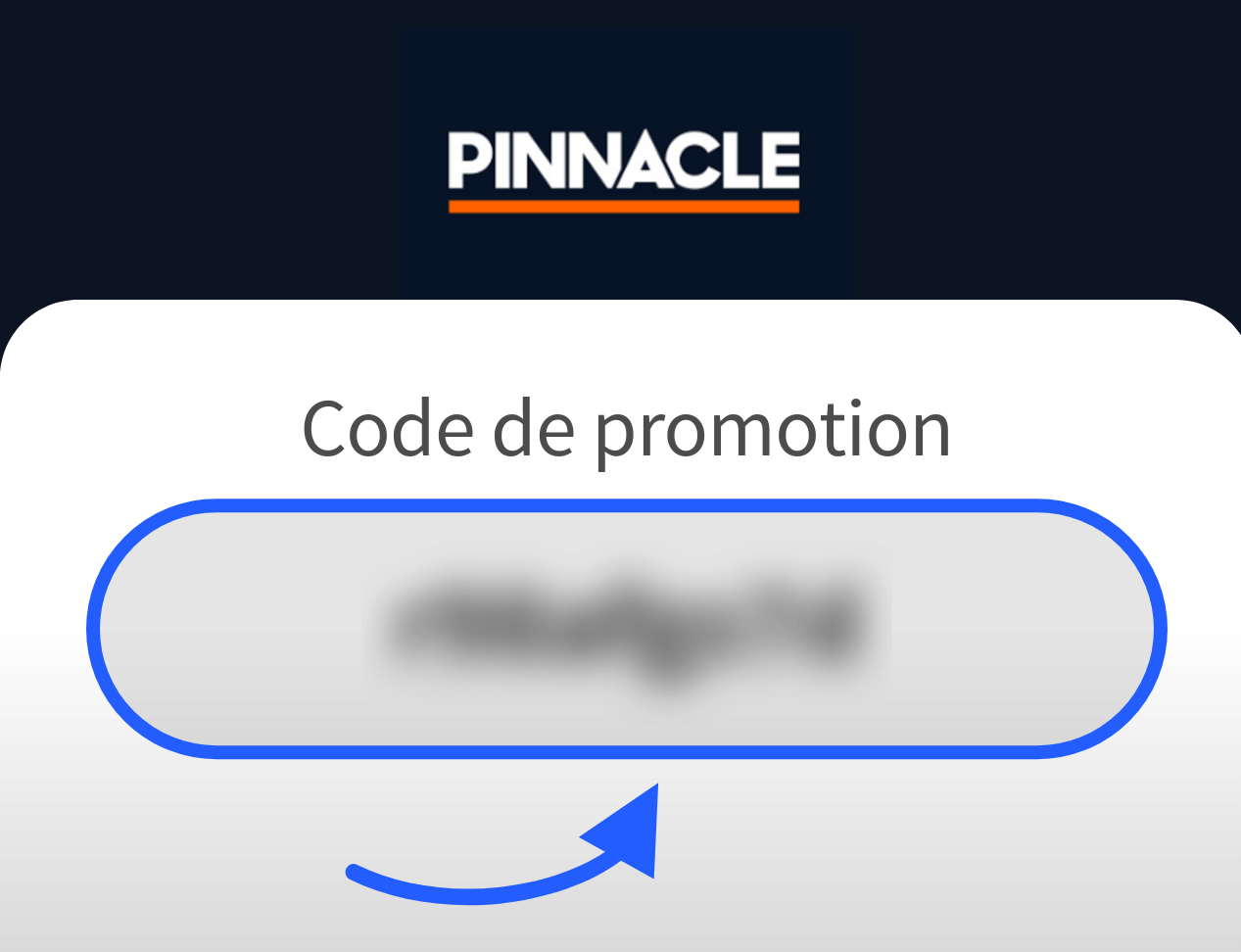 Code de promotion Pinnacle