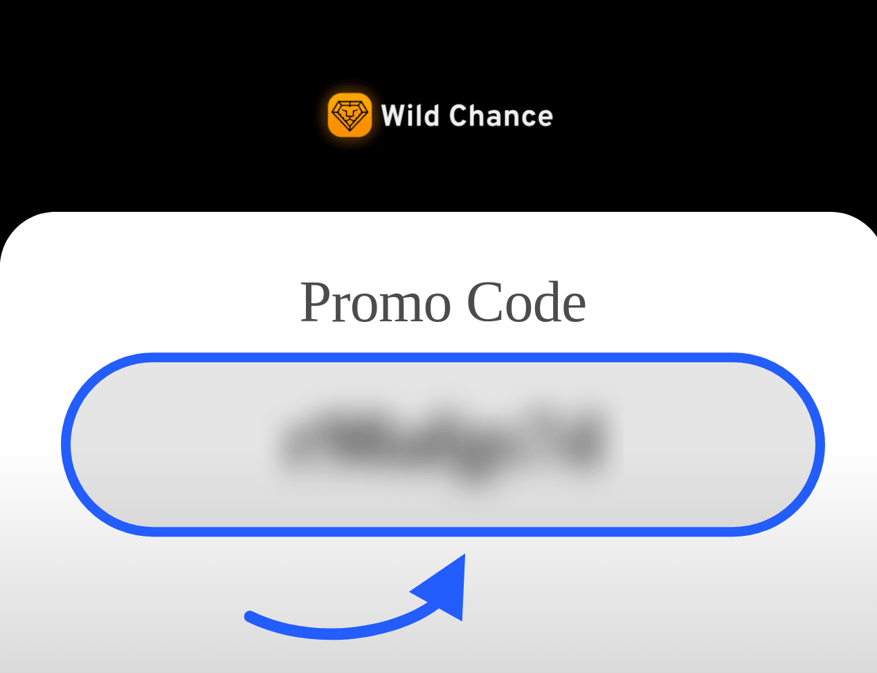 Wild Chance Promo Code