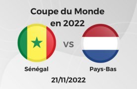 Senegal pays bas paris sportifs