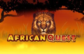 African quest