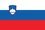 Slovenia flag png large