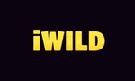 iWild Casino