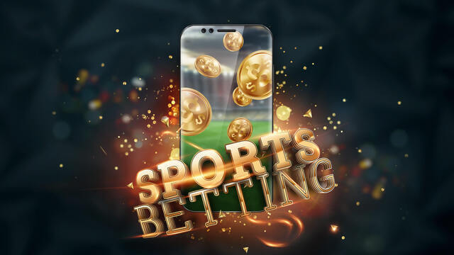 Wettanbieter für Anfänger