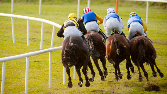 Danish Horse Racing