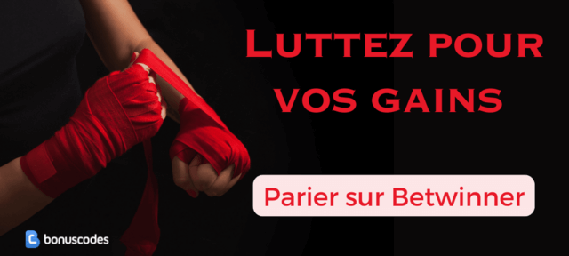 miser combat mma en direct live