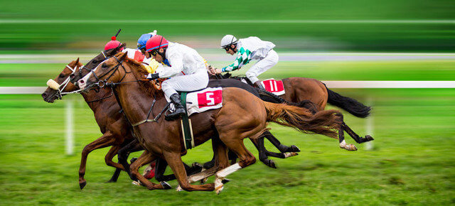 Paris sportifs en turf 