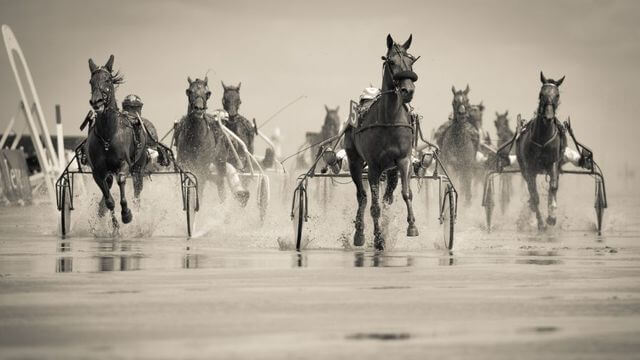 parier sur cheval favori 