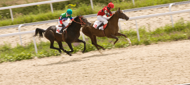 Pariez sur le turf